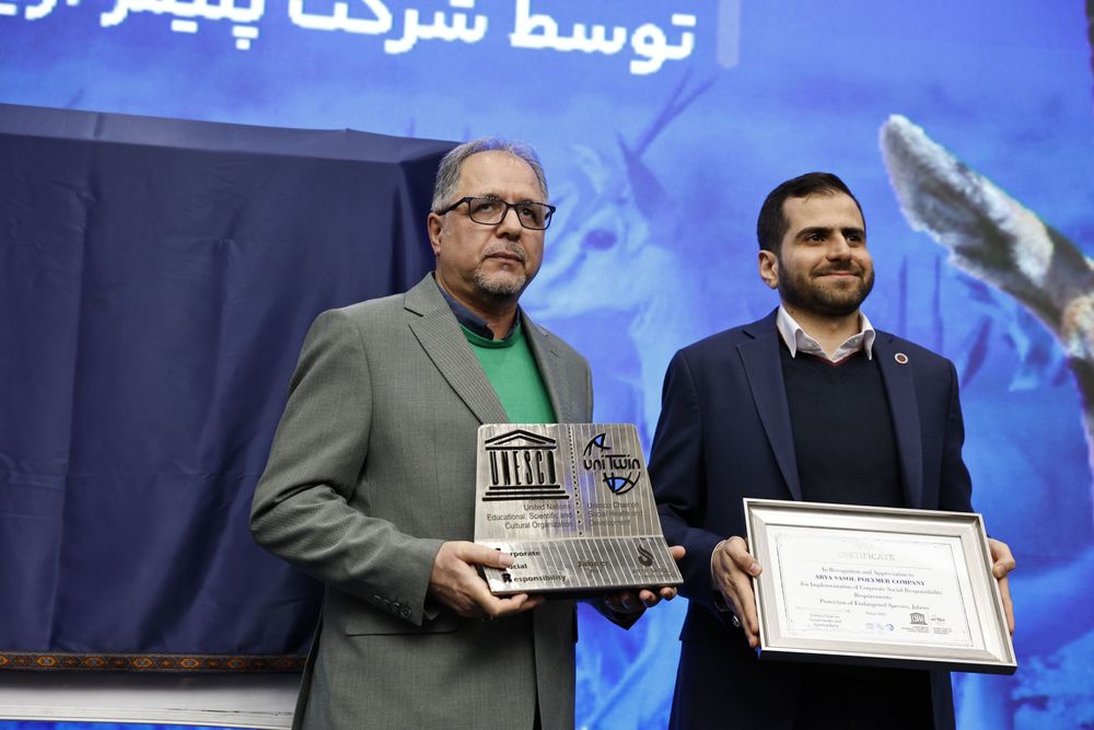 0000000000000000000000000p0000000f.jpeg